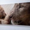 Quadro Leoa com filhote 140 x 70 - Image 3