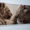 Quadro Leoa com filhote 140 x 70